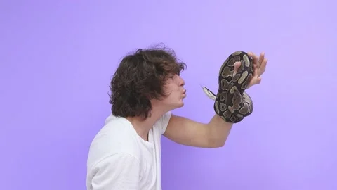 Close-up of a snake in human hands. The man stares at the snake, he tries to Video stock 158143315