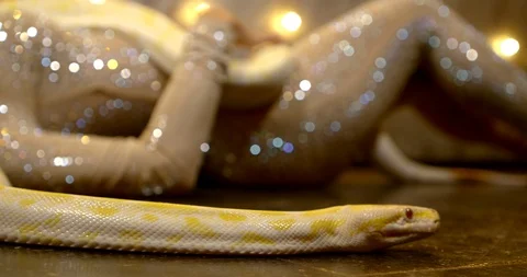 Close up snake Python on the stone floor crawling on the background of a girl Stock-Footage 119098361