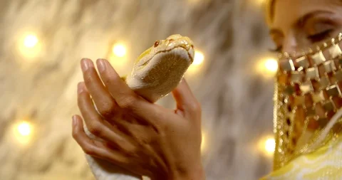 Close-up of the snake's head on a woman's hands. Golden lights in the background Stock Footage 118798690