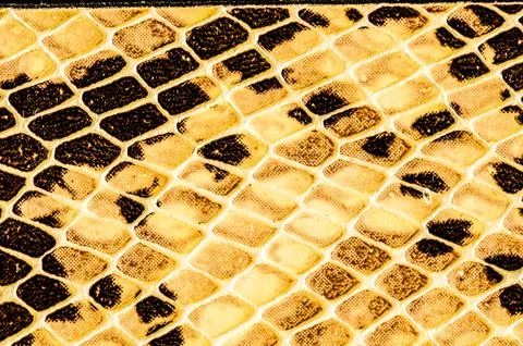 A close up of a snake's skin with a pattern of brown and yellow Foto stock