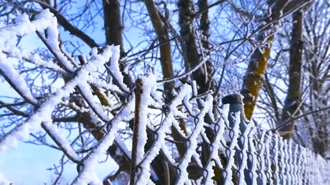Close Up of Snow and Ice on a Chain Link Fence Vidéo 333852553