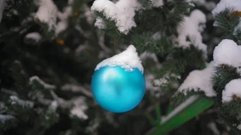 Close-up, Snow Covered Blue Ball Decorates the Christmas Tree in the Park Stock Footage 101711549