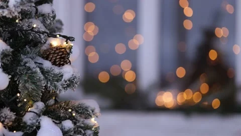 Close-up of a snow-covered Christmas tree Stock Footage 229371175