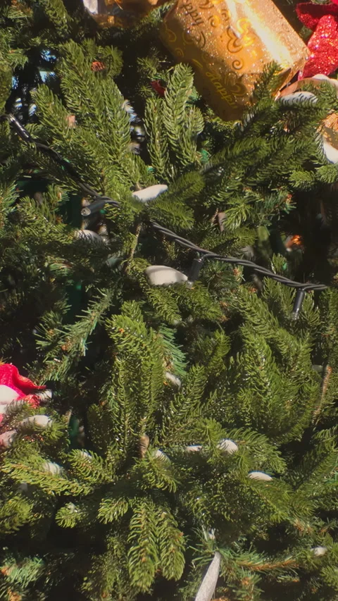 Close-up of snow-covered Christmas tree outdoor with flickering garlands and Stock Footage 345873462
