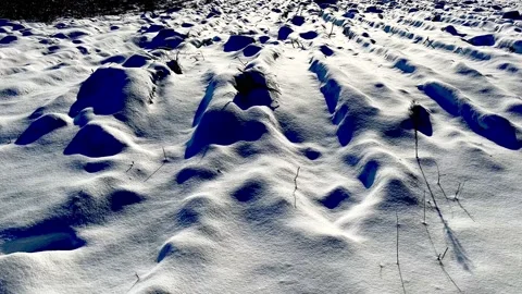 Close up of snow covered ground. Winter background. Stock Footage 232217176