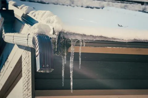 A close up of snow-covered gutter with icicles, sunlight, and a soaring bird. Stock Photos