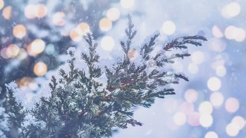 Close-up of snow-covered tree branches with falling snow. 스톡 동영상 309992813