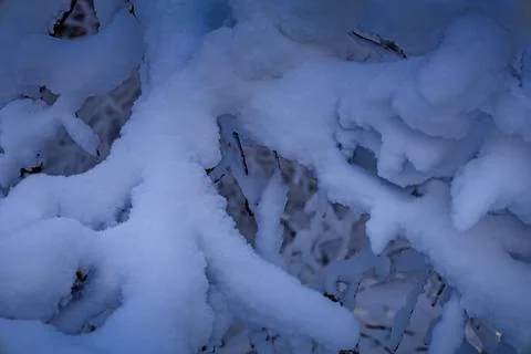 Close-Up of Snow-Covered Tree Branches Stock Photos