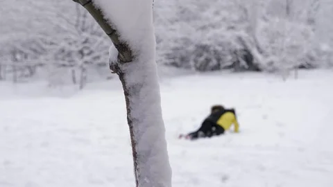 Close-up of a snow-covered tree in a park with a child playing in the snow. Stock Footage 327273972
