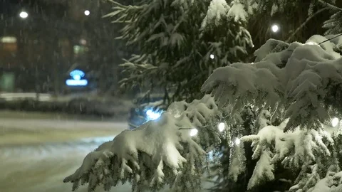 Close up of snow covered tree on roadside Stock Footage 99936566