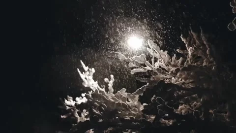 Close up of Snow Falling on Leaves at Night Cinematic Winter Background Stock-Footage 329616007