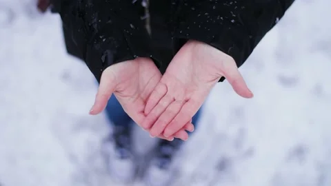 Close up of snow falling slowly on woman's hands in nature during winter. Stock Footage 147158749