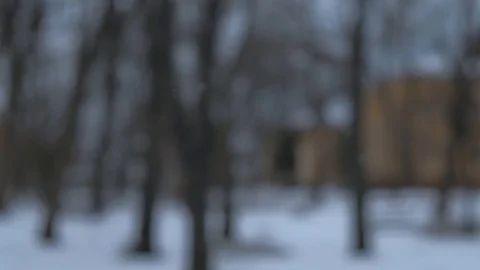 Close-up of snow flakes flying into camera with blurred trees in background Видео 101472933
