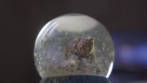 Close up of snow globe with bear inside and TV on background Stock Footage 257778542