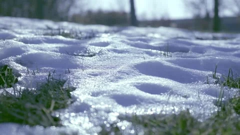 Close-up of snow grass in winter Stock Footage 259551407