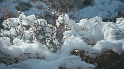 Close-up of snow on grass in winter sun Stock Footage 233589780