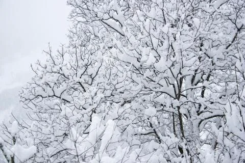 CLOSE UP OF SNOW PATH IN COLD WINTER SEASON Stock Photos