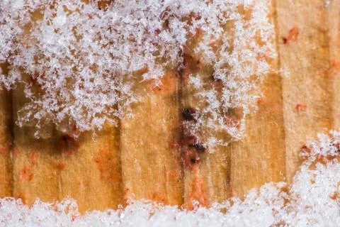 Close up snow Stock Photos