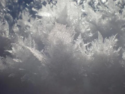 Close up of Snow Stock Photos