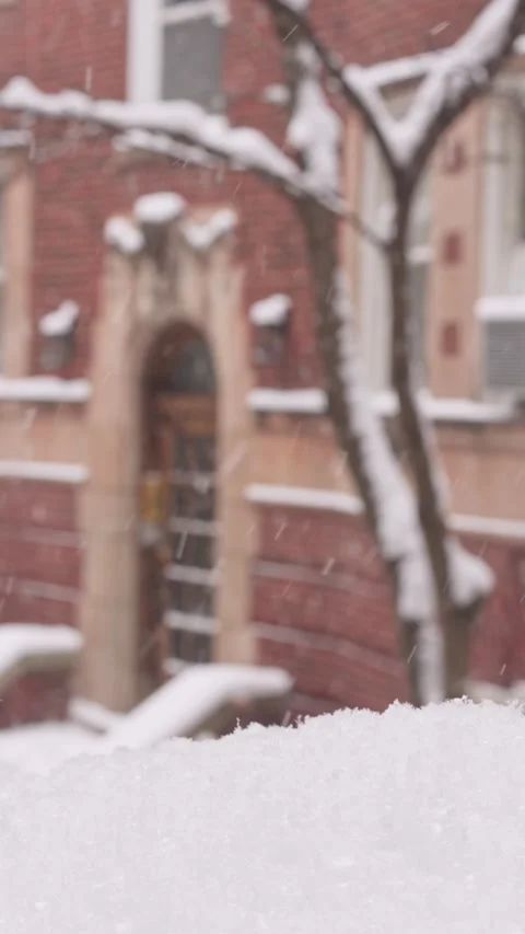 Close-up of Snow Pile with Falling Snow Background in Chicago City Stock Footage 327769095
