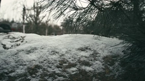 Close-up of snow on rocks Stock Footage 233578760
