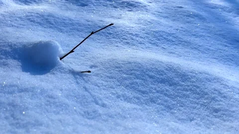 Close up of snow structure. Background with fresh fallen snow. Stock Footage 253638280