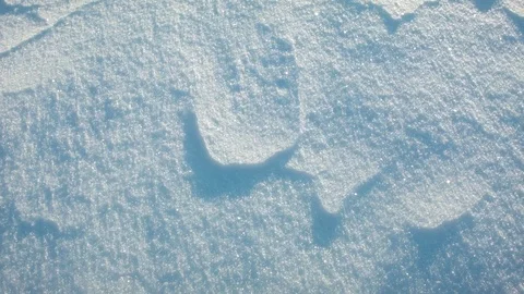Close-up of snow surface at dawn Video stock 81055938