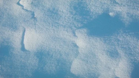 Close-up of snow surface at dawn 動画素材 81056067