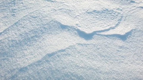 Close-up of snow surface at dawn Stock-Footage 81056291