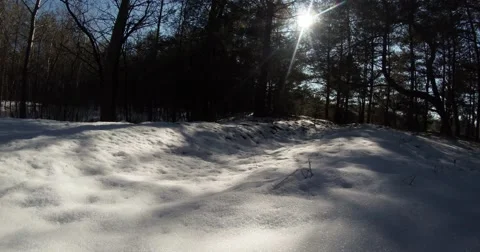 Close-up of snow under the bright sun in the forest Stock Footage 46851141