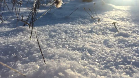 Close-up of a snowdrift. A snowy surface with millions of shining snowflakes. Stock Footage 144778070