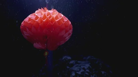 Close up Snowflakes falling, red lanterns Stock Footage 234245876