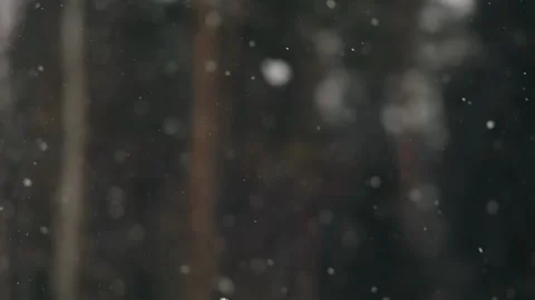 Close-up of snowflakes falling in winter. Close-up shooting Stock Footage 313362593