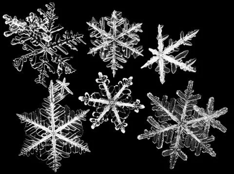 Close up of snowflakes Stock Photos