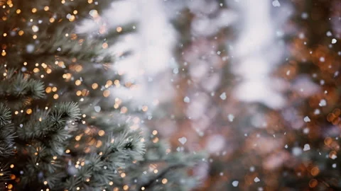Close-Up Snowy Pine Tree With Warm Holiday Lights Stockbeeldmateriaal 342332863
