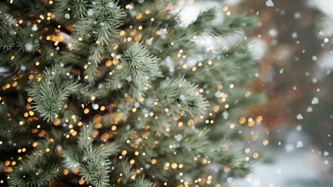 Close-Up Snowy Pine Tree With Warm Holiday Lights 動画素材 342332867