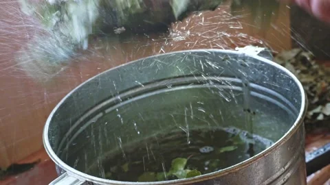 Close-up of soaking a bath broom in a metal basin. Bath juniper broom Stock Footage 223881628