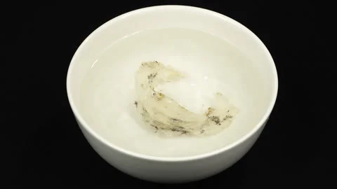 Close Up Soaking Raw Bird Nest In Pure Water For Cleaning Stock Footage 339368317