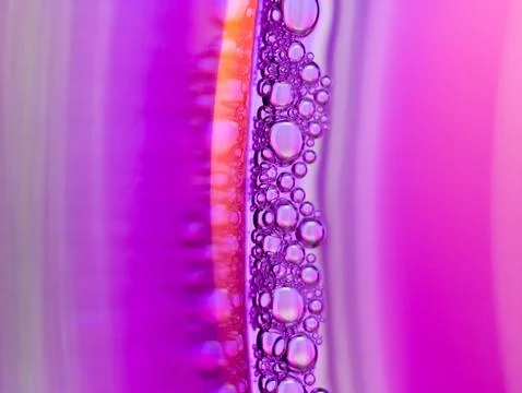 Close up soap bubble on water led light background Stock Photos