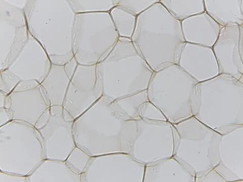 Close-up of soap bubbles in honeycomb pattern Stock Photos