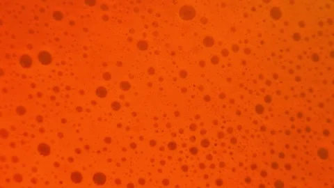 Close up of soap bubbles in water. abstract background for cleaning liquid ads Stock Footage 340906845