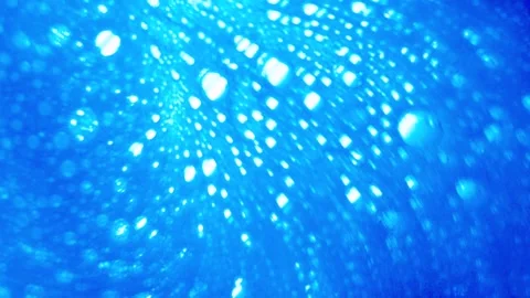 Close up of soap bubbles in water. abstract background for cleaning liquid ads Stock Footage 340908416