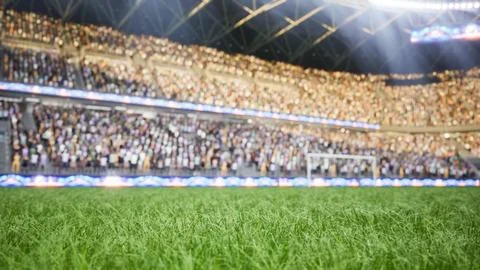 Close up of soccer grass turf computer graphics, sunset lighting simulation Stock Illustration