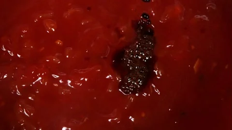 Close up of soft coral polyps moving in aquarium Видео 326626559