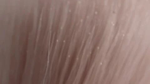 Close up of soft makeup brush bristles showing fine texture and beauty tool Stock Footage 343969105