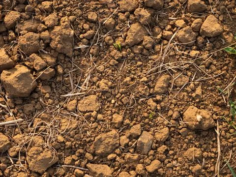 Close-up of Soil Background Stock Photos