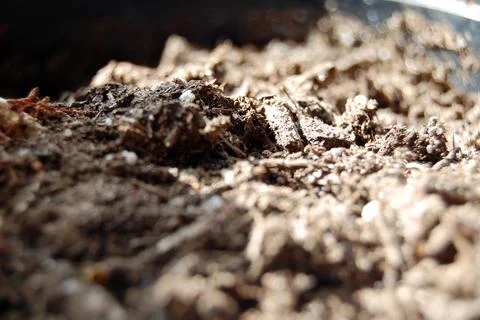 Close-up of Soil Stock Photos