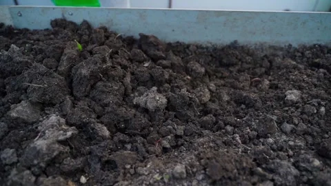 Close-up of soil piled up in a garden bed in slow motion Stock Footage 313465134