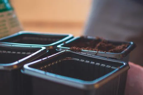 A close up of soil in small containers for planting sprouts while gardening Stock Photos