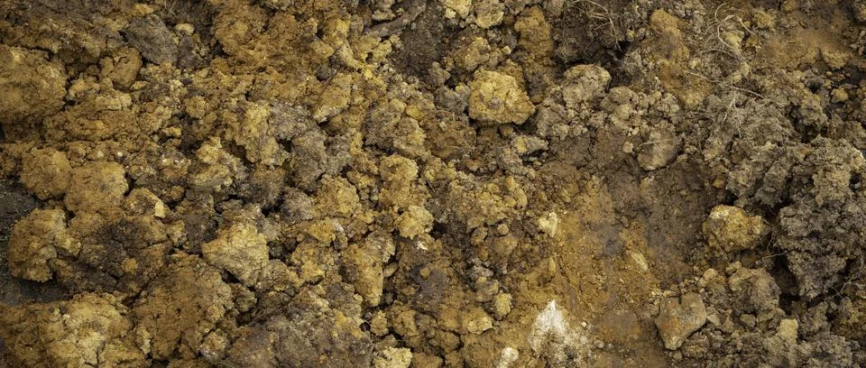 Close up of soil texture Stock Photos